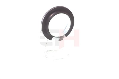 GH GH-361913 EAN: 4251530870045.