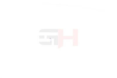 GH GH-391502 EAN: 4251530885766.