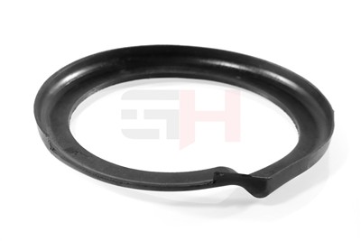 GH GH-623050 EAN: 4251530887968.