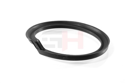 GH GH-624709 EAN: 4251530888484.