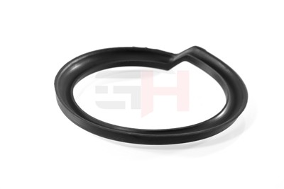 GH GH-624709 EAN: 4251530888484.