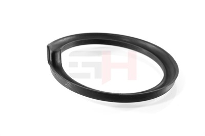 GH GH-624709 EAN: 4251530888484.