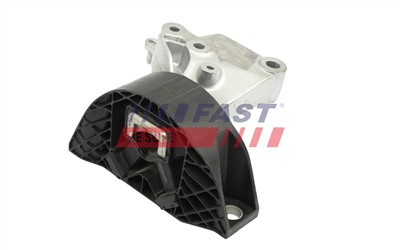 FAST FT10079 EAN: 5904157817045.