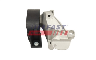 FAST FT10311 EAN: 5904157821141.