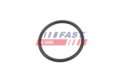 FAST FT10368 Číslo výrobce: 5904157826917. EAN: 5904157826917.