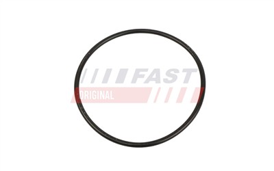 FAST FT11625 Číslo výrobce: 5904157876912. EAN: 5904157876912.