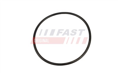 FAST FT11625 Číslo výrobce: 5904157876912. EAN: 5904157876912.