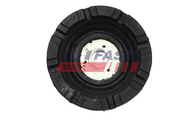 FAST FT12036 Číslo výrobce: 5904157810824. EAN: 5904157810824.