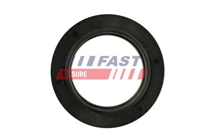 FAST FT12091 Číslo výrobce: 5901797084042. EAN: 5901797084042.