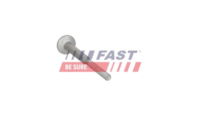 FAST FT13100