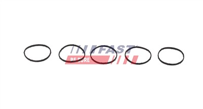 FAST FT13435 Číslo výrobce: 5907834031024.