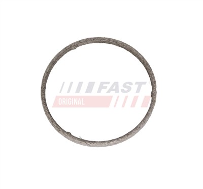 FAST FT14365 Číslo výrobce: 5907834040217. EAN: 5907834040217.