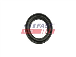 FAST FT32483
