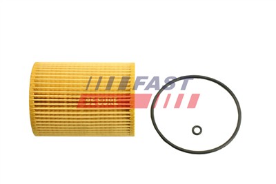 FAST FT38101 EAN: 5901797090432.