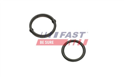 FAST FT38804 EAN: 5904157814778.