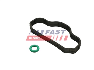 FAST FT48302 Číslo výrobce: 5904157878886. EAN: 5904157878886.
