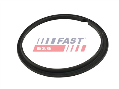 FAST FT48502 Číslo výrobce: 5904157850356. EAN: 5904157850356.