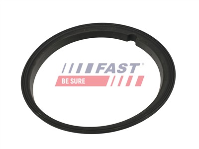 FAST FT48502 Číslo výrobce: 5904157850356. EAN: 5904157850356.
