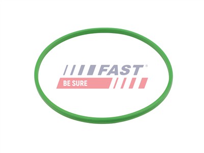 FAST FT48503 Číslo výrobce: 5904157854033. EAN: 5904157854033.