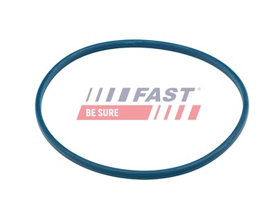 FAST FT48504 EAN: 5904157888267.