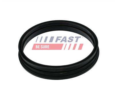 FAST FT48505 EAN: 5904157814297.