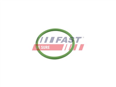 FAST FT48803 Číslo výrobce: 5904157818448. EAN: 5904157818448.