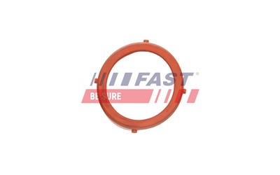 FAST FT48813 EAN: 5904157895838.