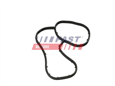 FAST FT48941 Číslo výrobce: 5904157879609. EAN: 5904157879609.