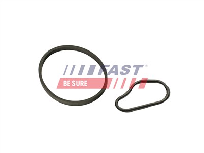 FAST FT48943 Číslo výrobce: 5904157846014. EAN: 5904157846014.