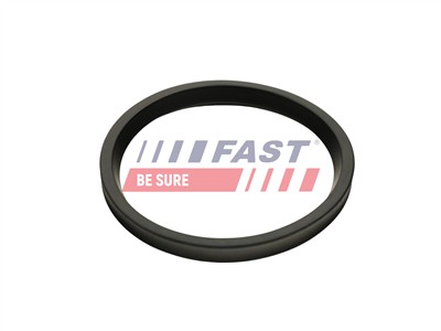 FAST FT48947 Číslo výrobce: 5904157890864. EAN: 5904157890864.