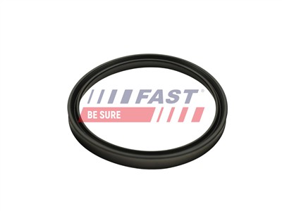 FAST FT48947 Číslo výrobce: 5904157890864. EAN: 5904157890864.