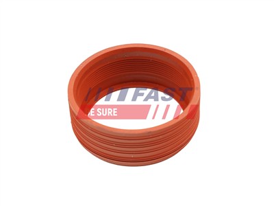 FAST FT48948 EAN: 5904157849107.