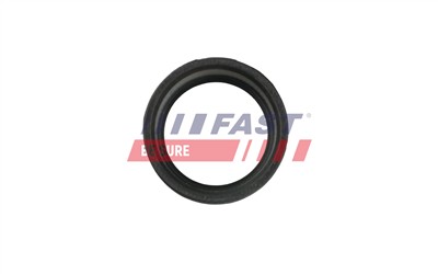 FAST FT48953 Číslo výrobce: 5904157846380. EAN: 5904157846380.