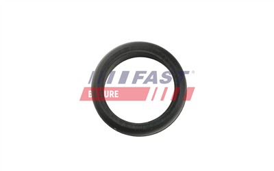 FAST FT48953 Číslo výrobce: 5904157846380. EAN: 5904157846380.