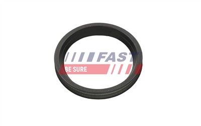 FAST FT48956 Číslo výrobce: 5904157861475. EAN: 5904157861475.