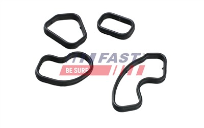 FAST FT48957 Číslo výrobce: 5904157811968. EAN: 5904157811968.