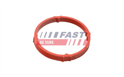 FAST FT48958 Číslo výrobce: 5904157890383. EAN: 5904157890383.