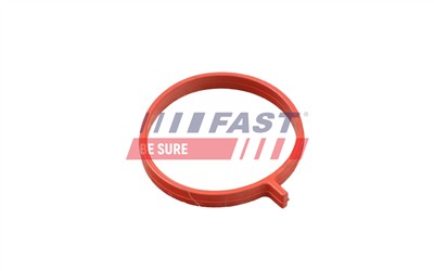 FAST FT48959 Číslo výrobce: 5904157813566. EAN: 5904157813566.