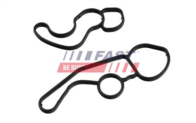 FAST FT48961 EAN: 5904157883446.