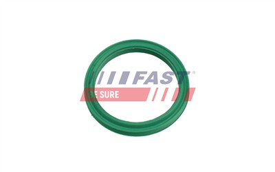 FAST FT48962 EAN: 5904157832710.