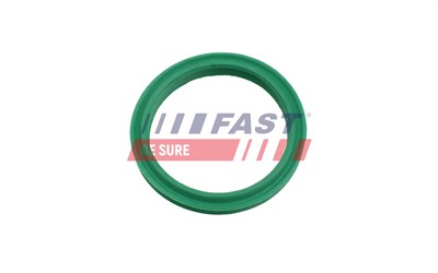 FAST FT48962 EAN: 5904157832710.