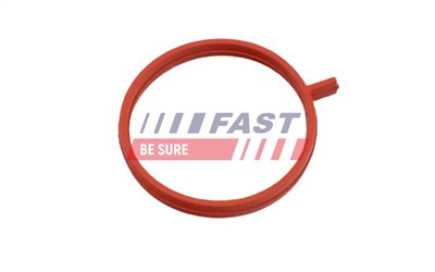 FAST FT48963 EAN: 5904157848636.