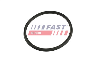 FAST FT48965 Číslo výrobce: 5904157886607. EAN: 5904157886607.