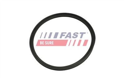 FAST FT48965 Číslo výrobce: 5904157886607. EAN: 5904157886607.