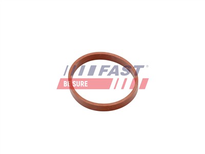 FAST FT49418 EAN: 5904157884337.