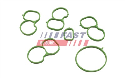 FAST FT49455 EAN: 5904157833434.