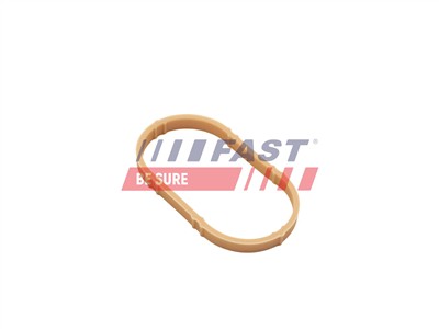 FAST FT49461 EAN: 5904157855016.