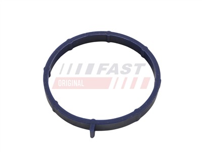 FAST FT49467 Číslo výrobce: 5904157821080. EAN: 5904157821080.