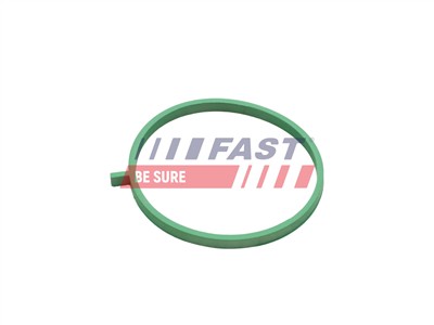 FAST FT49472 EAN: 5904157875045.