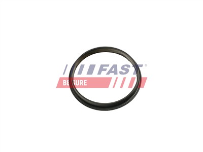 FAST FT49853 Číslo výrobce: 5904157801709. EAN: 5904157801709.